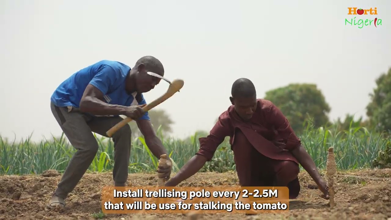 Land Preparation Techniques for Better Yields | HortiNigeria