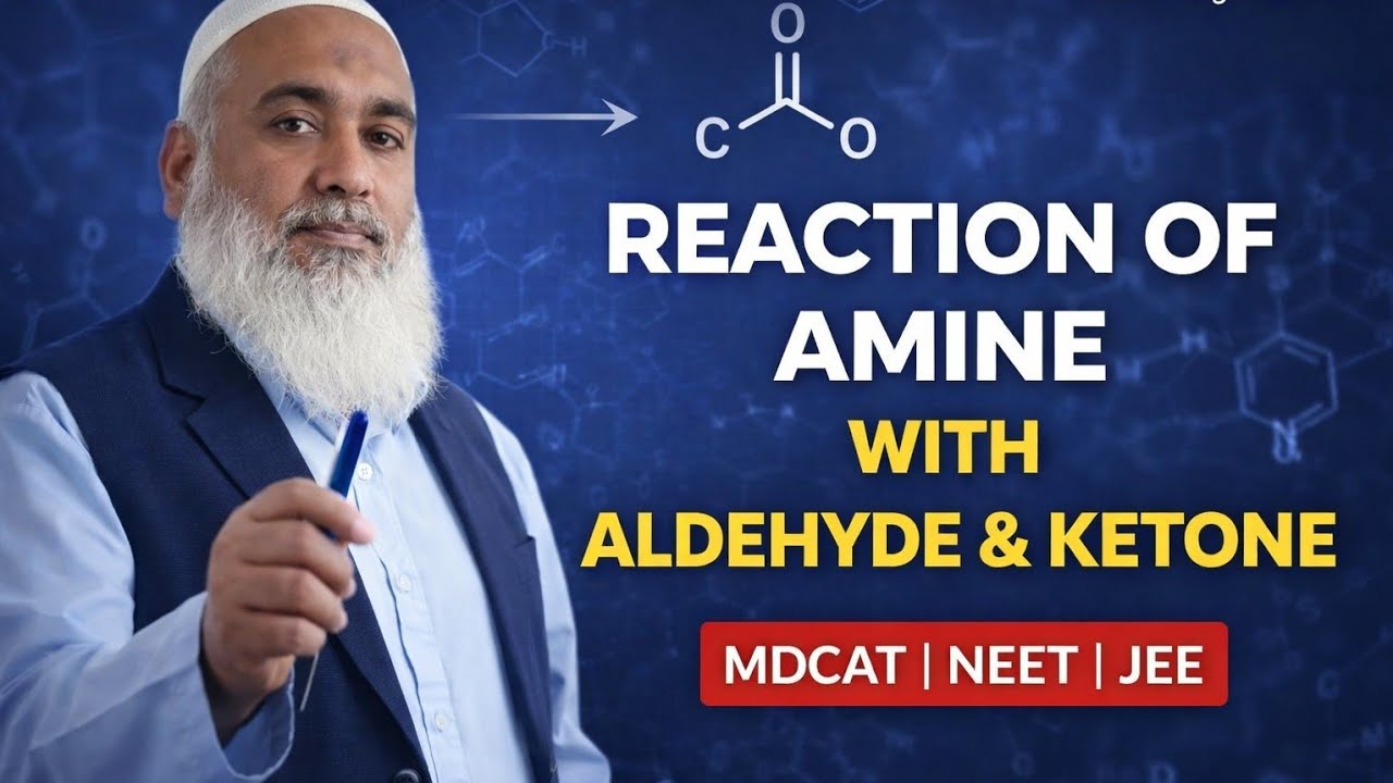 Reaction of Amines with Aldehydes & Ketones | Alkyl Halides & Amines | MDCAT | @Chemistry Wallah