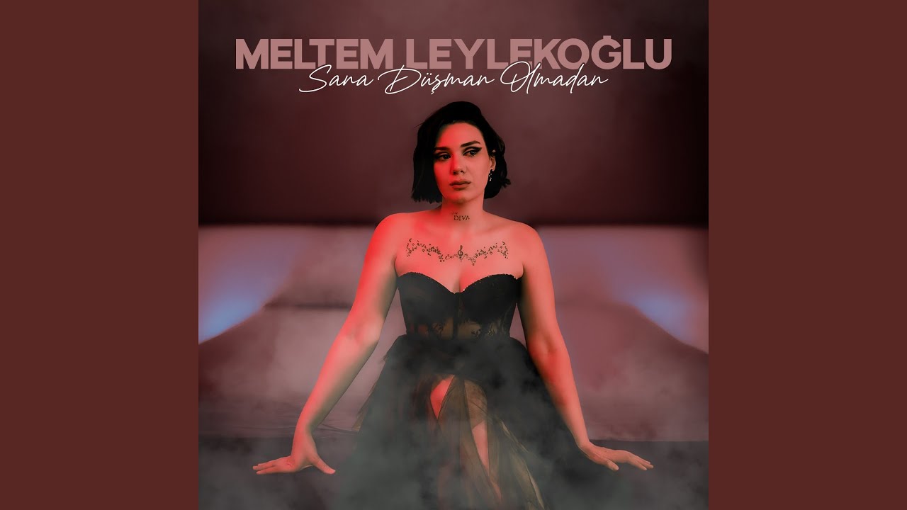 Sana Düşman Olmadan