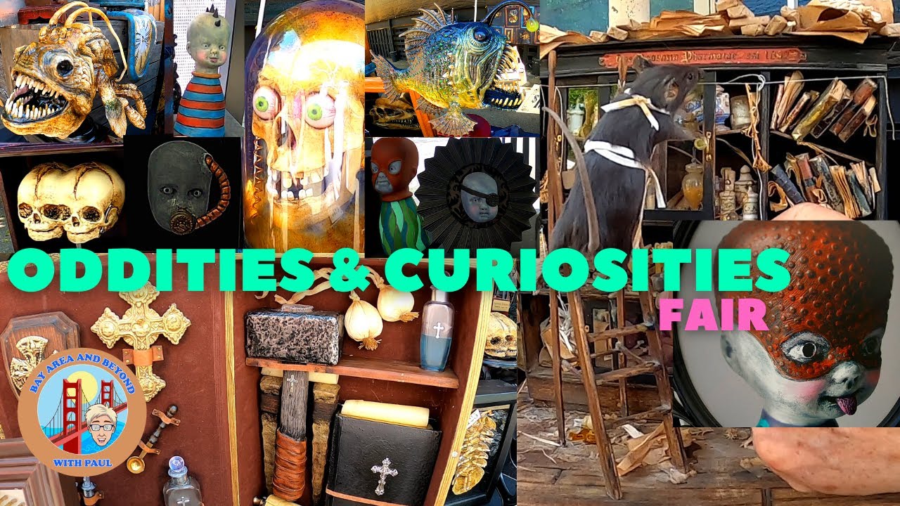 Oddities & Curiosities Market in Alameda, California
