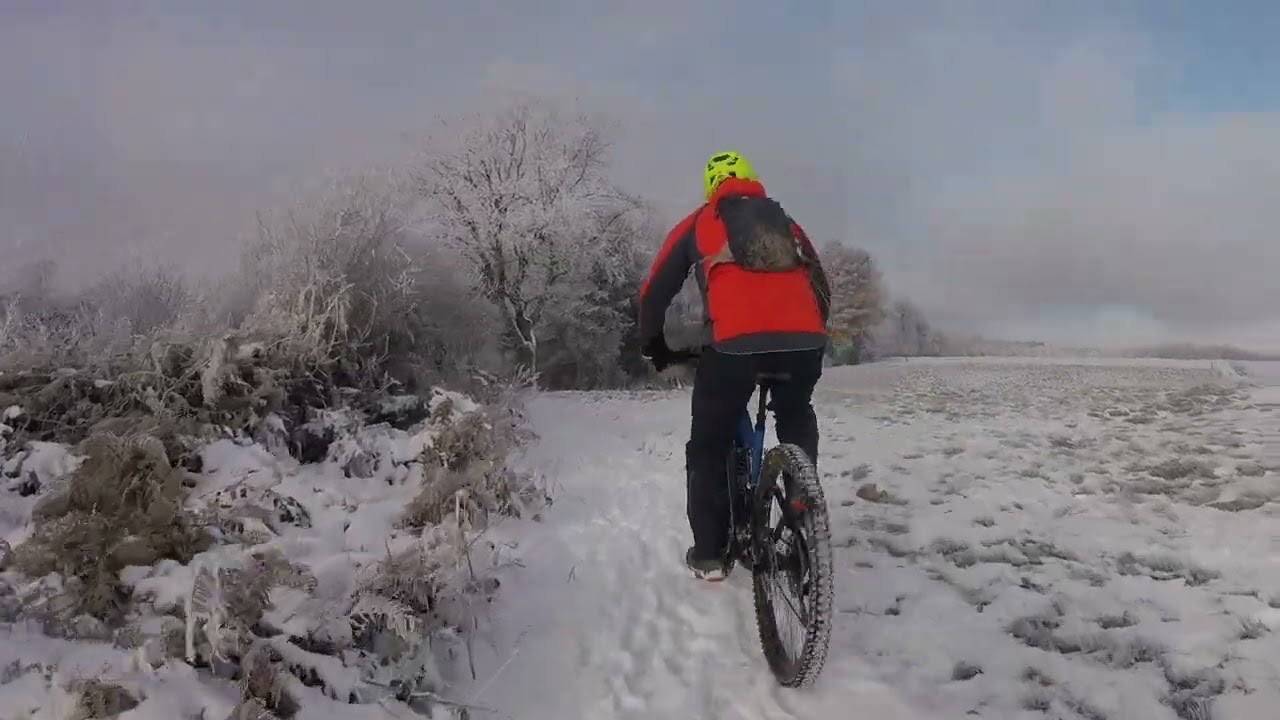 Foret verte sous la neige   20 janvier 2024