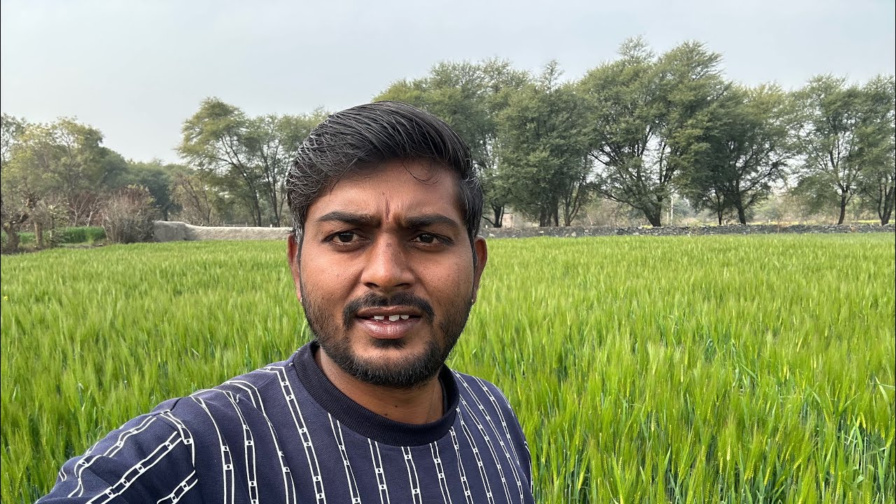 Gaon ki kheti or masti | daily vlogs