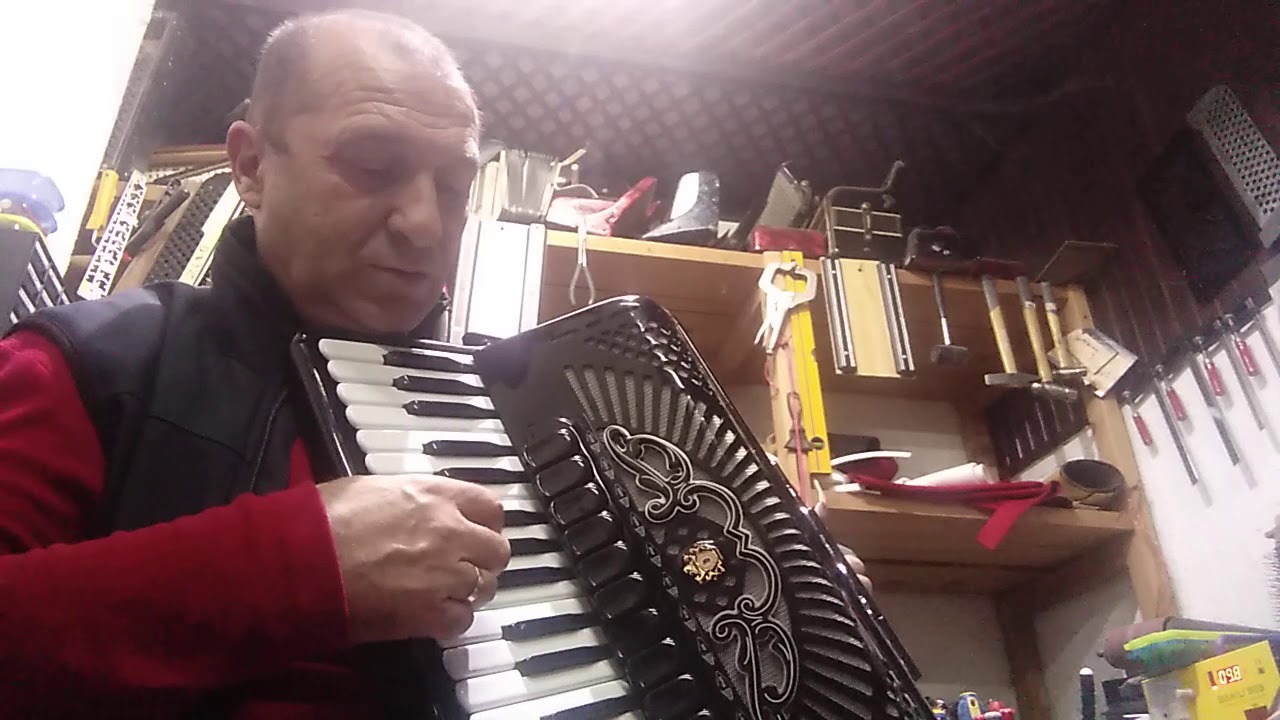 Servis harmonika Dane-Loznica 064-420-5721