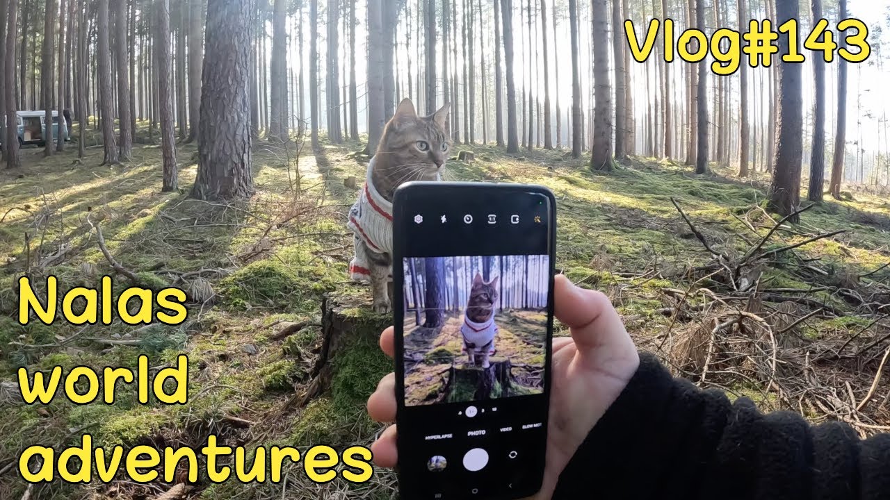 Exploring Czech Republic 😻 Vlog#143