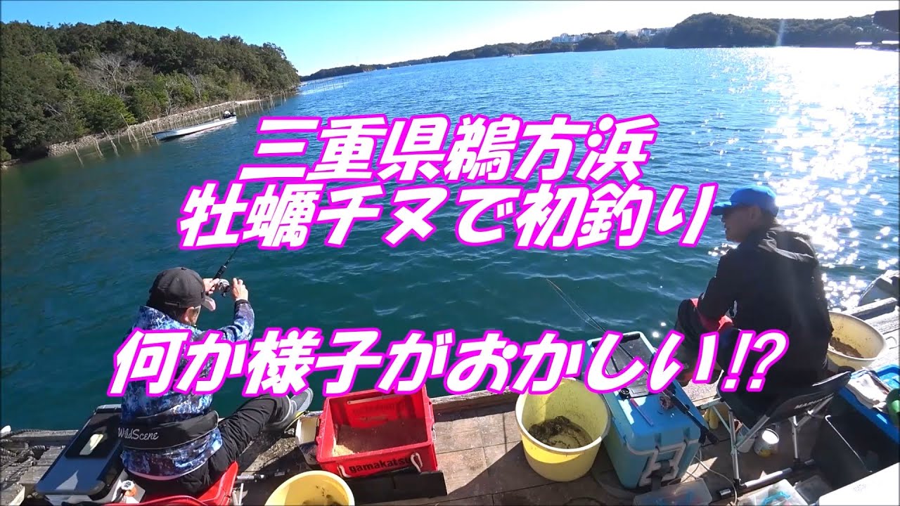 初釣り三重県鵜方浜で牡蠣チヌ！