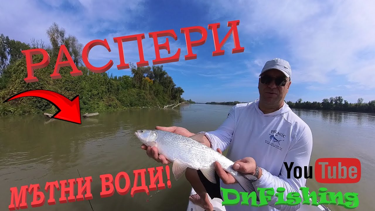 Риболов в МЪТНИ ВОДИ! Дунавските распери ! Asp fishing Dunabe River !