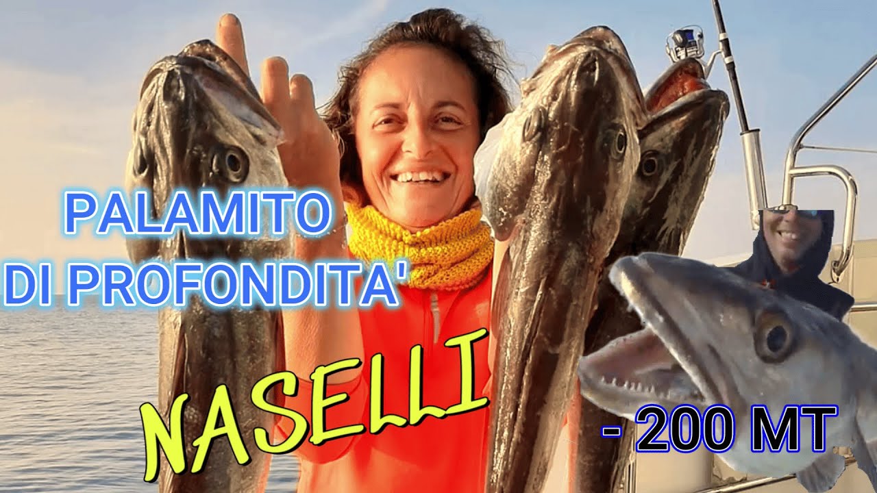 PALAMITO DI PROFONDITA'#USCITE DI PESCA #nasello  (resoconto dell uscita di nov 2020)