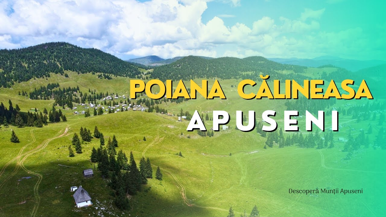 APUSENI | Poiana Călineasa
