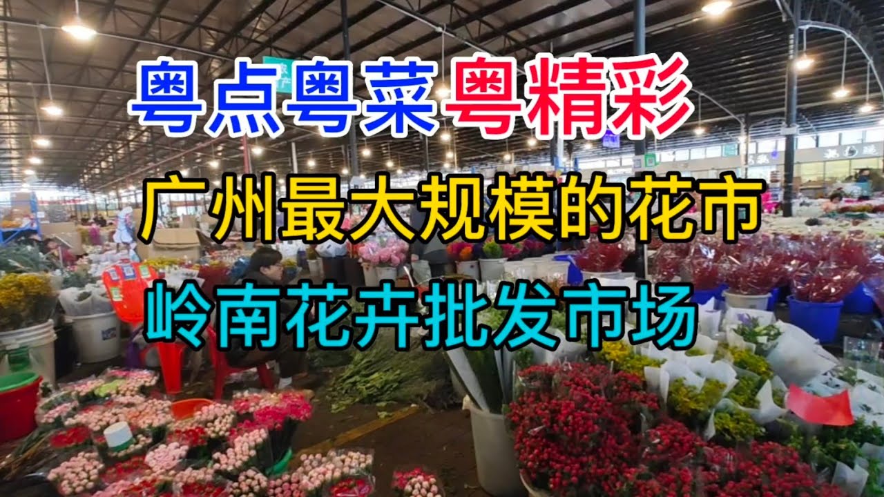 粤点粤菜粤精彩，广州最大规模的花市，岭南花卉批发市场，粤语中字幕