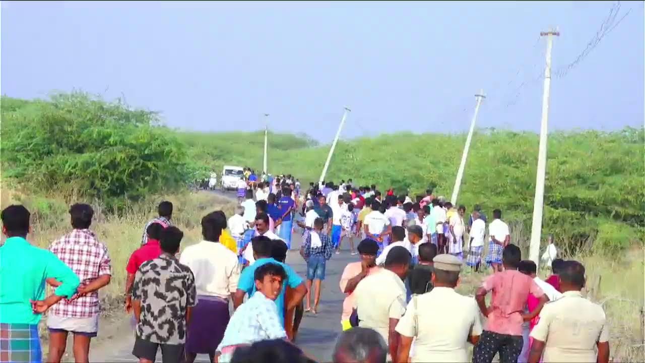 ராமநாதபுரம் மாவட்டம் காடமங்கலம் பெரியமாடு 50k நேரலை