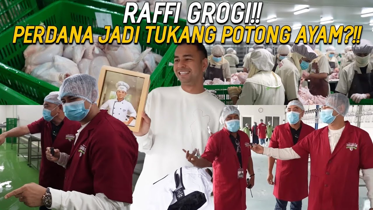 RAFFI DITANTANG JADI TUKANG POTONG AYAM!! HADIAHNYA LANGSUNG DIKASIH PABRIK POTONG AYAM??!!
