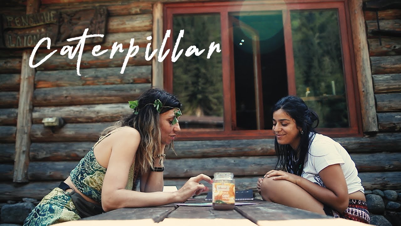 Caterpillar - Training Course - From Caterpillar to Butterfly