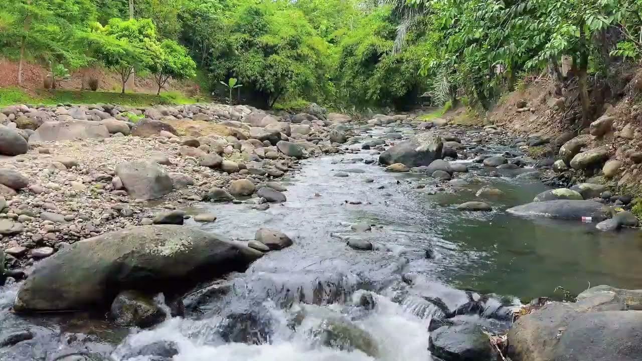 Peaceful Forest River Flow for Deep Relaxation, Stress Relief & Calm Mind