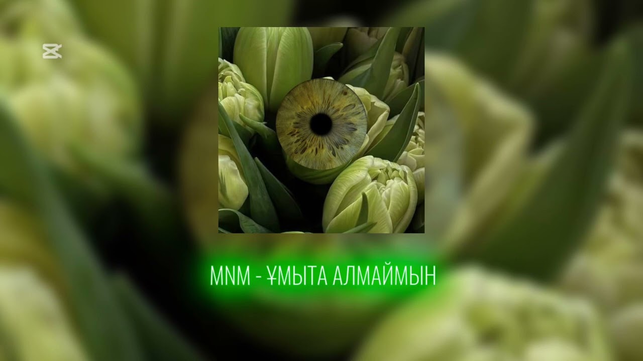 MNM - ҰМЫТА АЛМАИМЫН