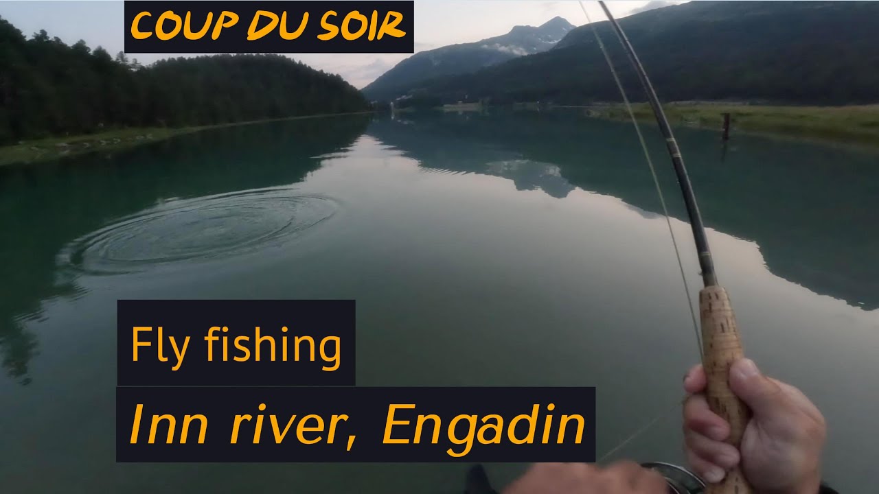 FLY FISHING - COUP DU SOIR - Inn river, Engadin