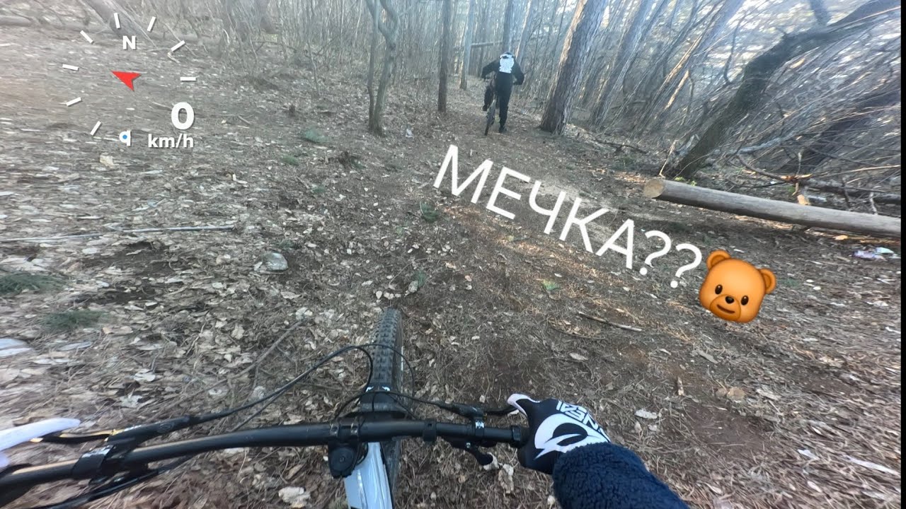 Враца - Мечка🐻, хижата