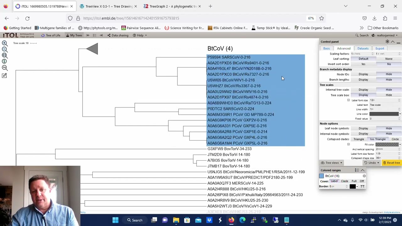 Collapse and Label Clades in a Phylogenetic Tree or Dendrogram