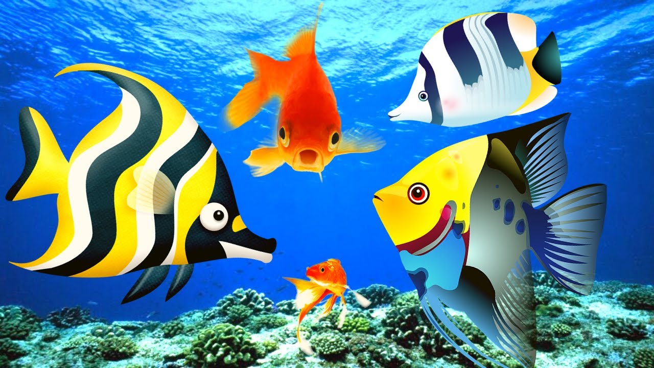 Os mais Belos Peixes Coloridos - Peixes do Mar - Peixes de Aqu&aacute;rio 4K