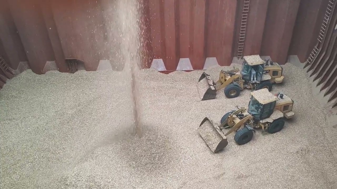 Loading wood Chip's for europe.#seafarer #seaman #lodijohntv