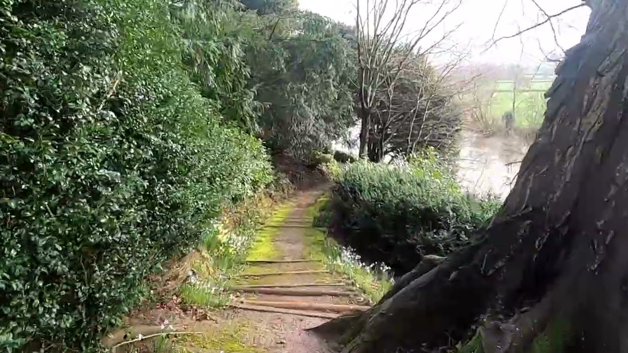 A walk through The Weir Gardens