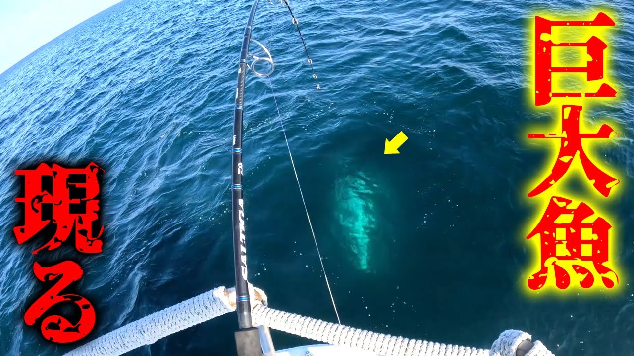 60cmの魚を食う巨大魚が釣れてパニックに…