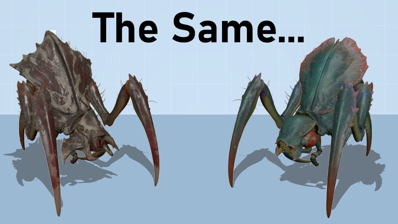 A Biological Analysis of The Antlions