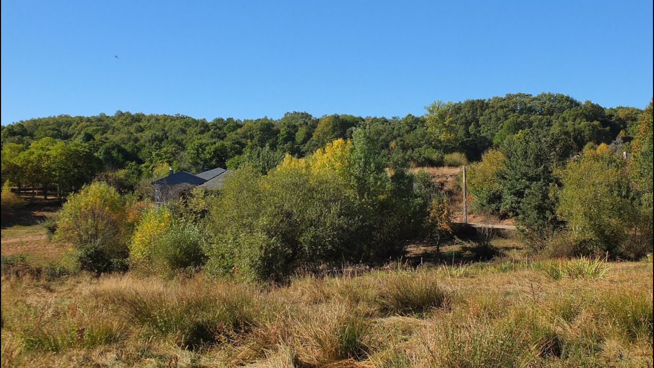 VIME DE SANABRIA_COMARCA DE SANABRIA_ZAMORA