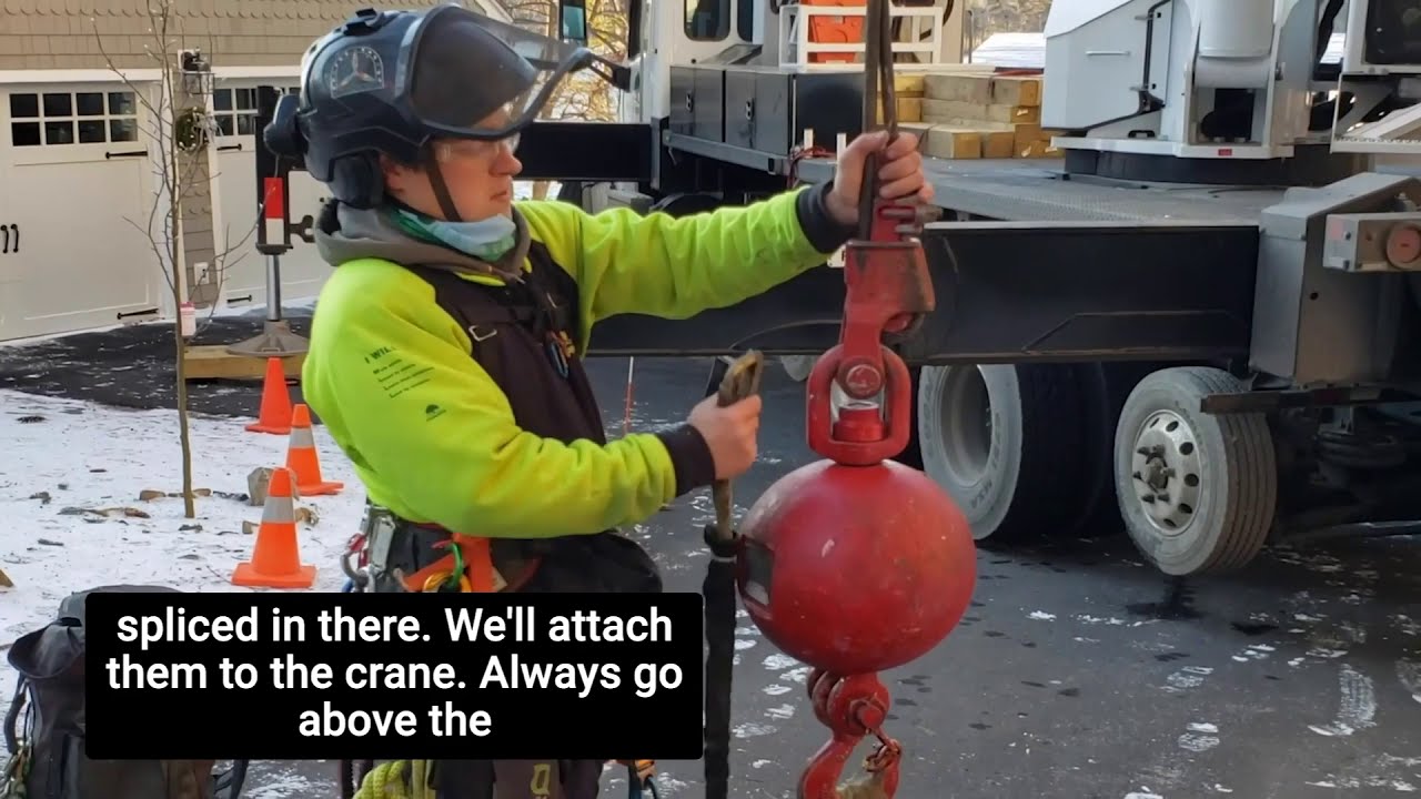 Arborist Skills - Climber Crane Tie-In