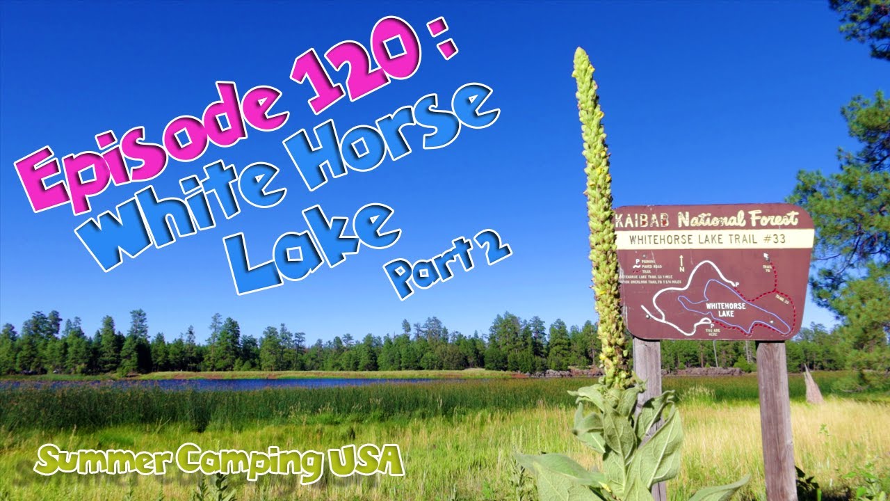 Episode 120: Car Camping at White Horse Lake, Arizona Part 2