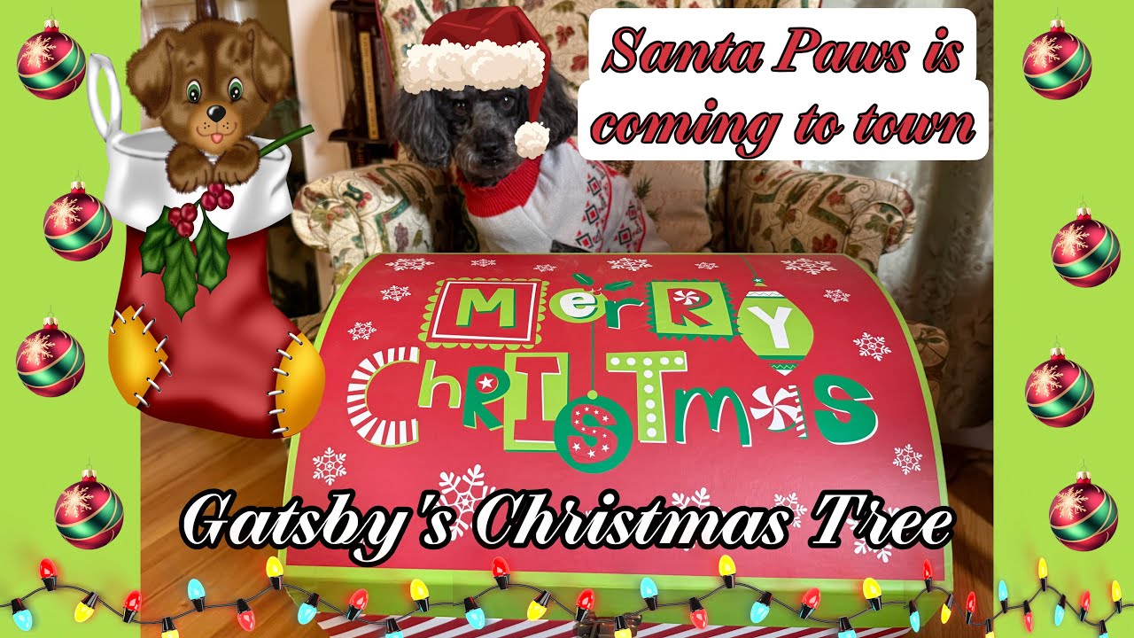 Gatsby's Christmas Tree #dogtree #Christmastree #christmasdecor