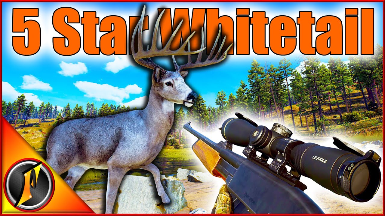 Our First 5 Star Whitetail Buck Ever in Way of the Hunter!