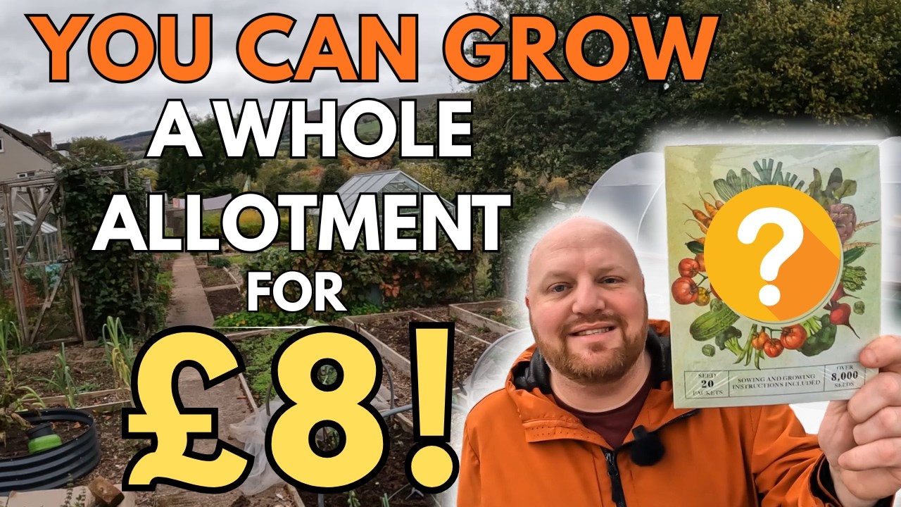 Growing food on a BUDGET | Allotment Gardening UK