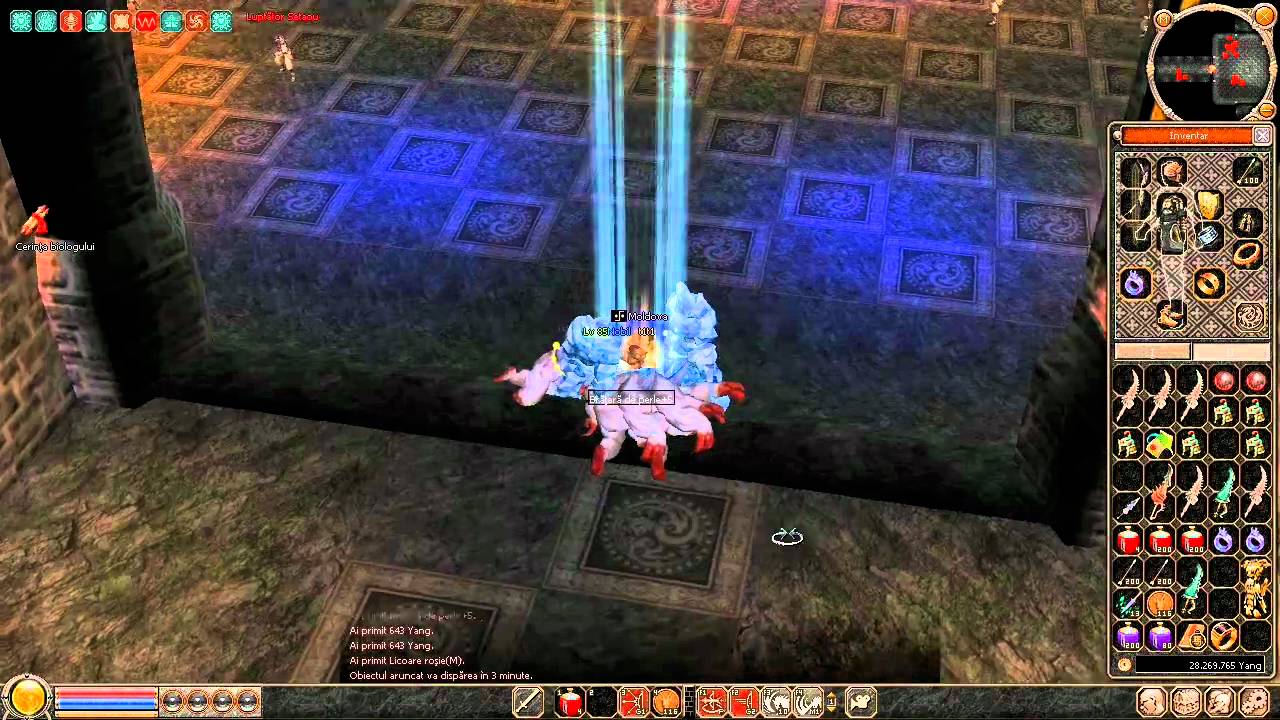 Metin2.ro t1t1 making level 85