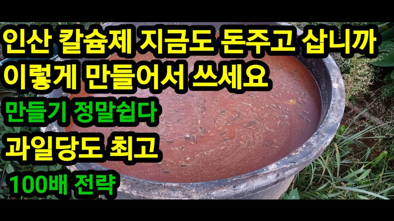 인산 칼슘제 이젠 만들어 씁시다 돈많이 안들고 100배싸게~#