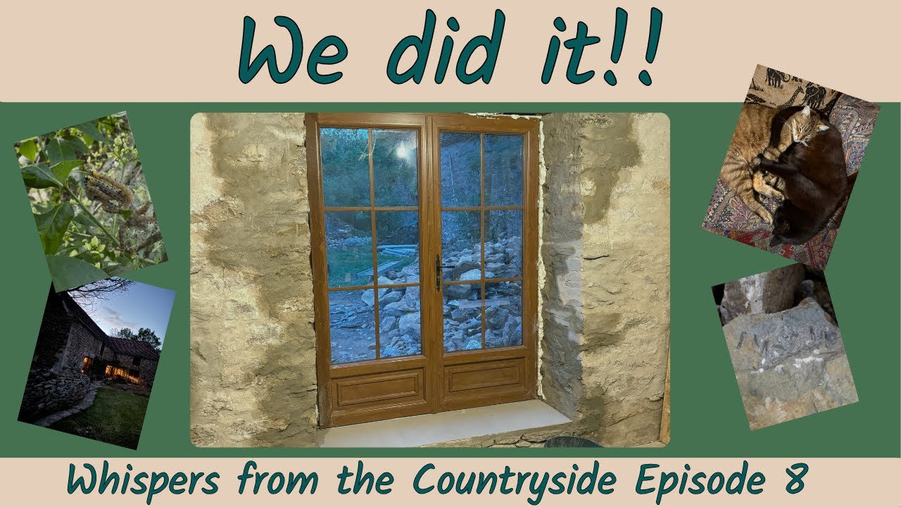 From Hole to Home: Installing Our French Patio Door + Garden Antics | WFTC Ep. 8