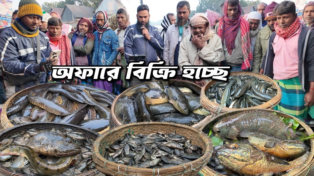আড়িয়াল বিলের কৈ শিং মেনি সস্তায় ও বিক্রি হচ্ছে না!! Village fish market dohar dobli bazar 🐟🐟🐟