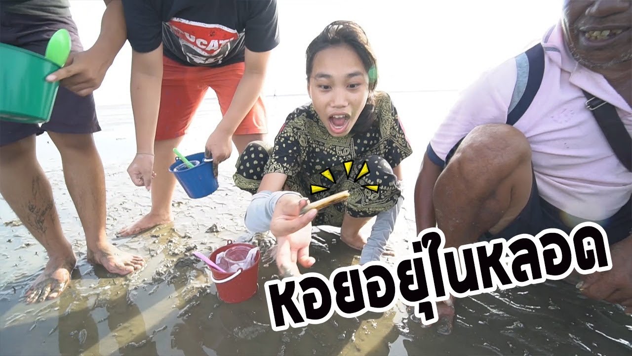 ตะลุยเเข่งจับหอยหลอด !!! ดอนหอยหลอด