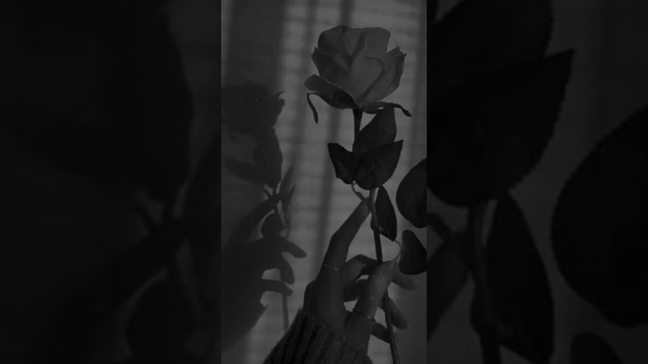 รวมเพลงเศร้า อกหัก [ Cover by Tie ] # SUPPATIE OFFICIAL