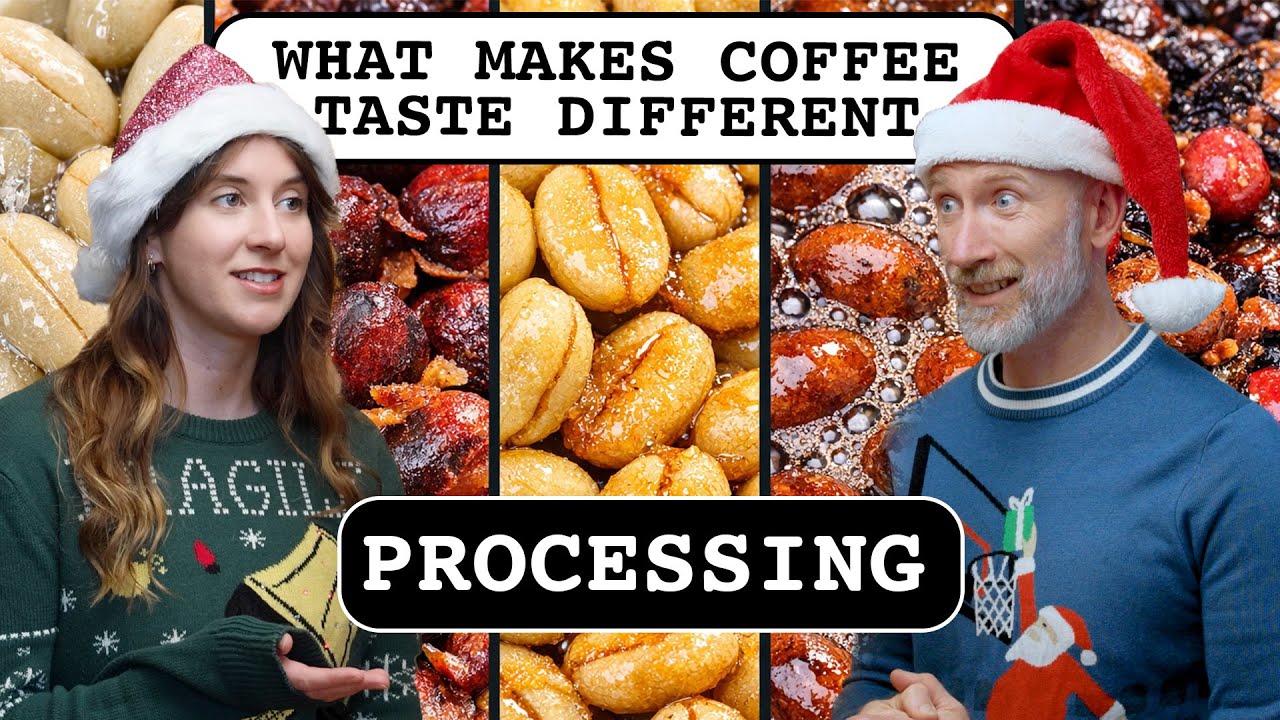 How Coffee Processing Shapes Flavor: Washed, Natural, Honey, Anaerobic Explained | RR Pod Ep. 5