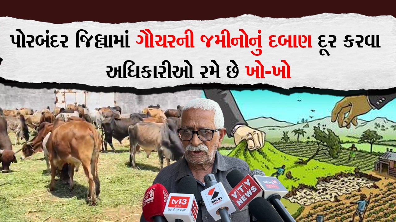 પોરબંદર જિલ્લામાં ગૌચરની જમીનોનું દબાણ દૂર કરવા અધિકારીઓ રમે છે ખો-ખો