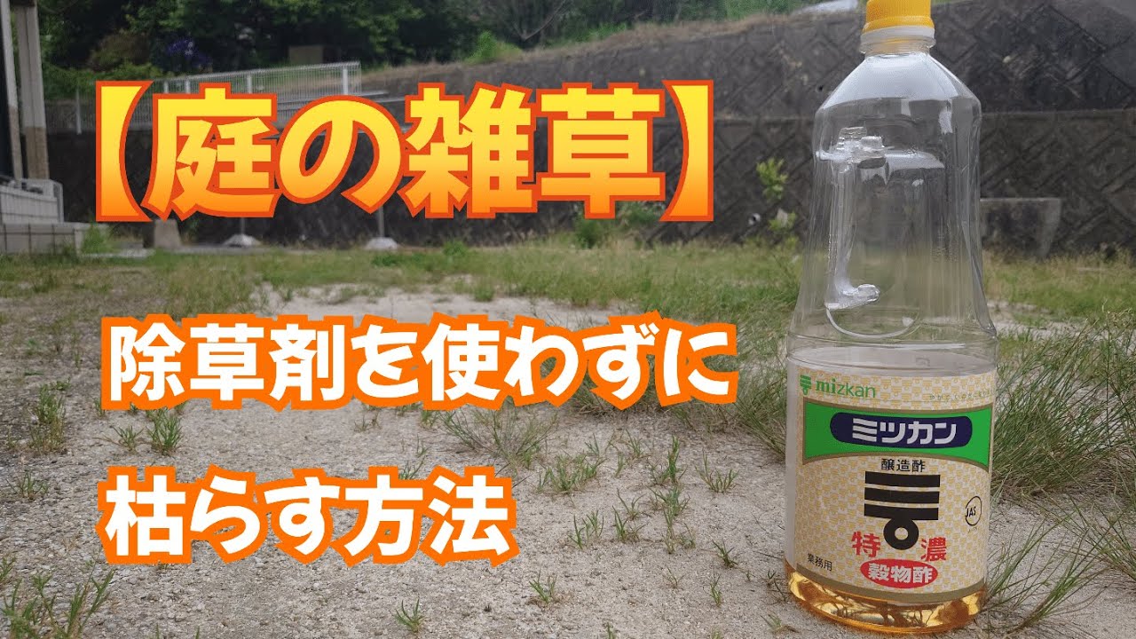 【庭の雑草】除草剤を使わずに枯らす方法
