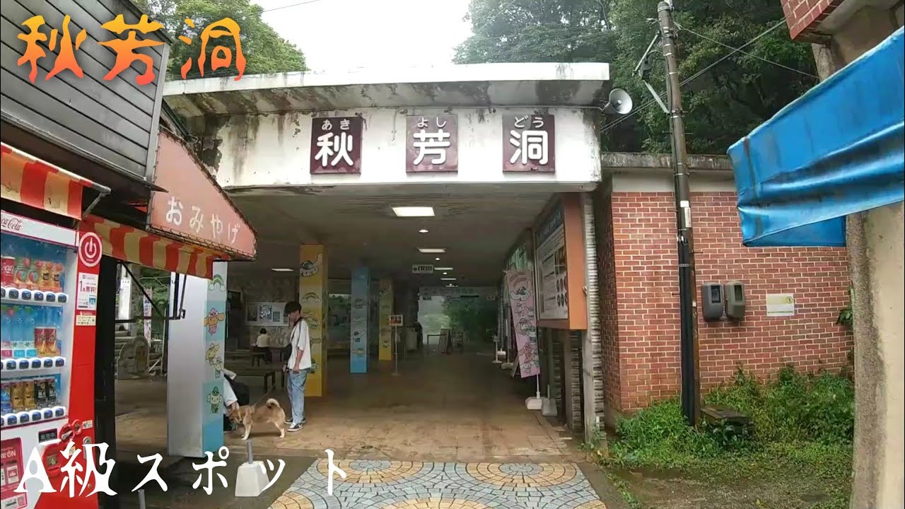 日本最大級の大鍾乳洞『秋芳洞』に行く！【山口県美祢市】