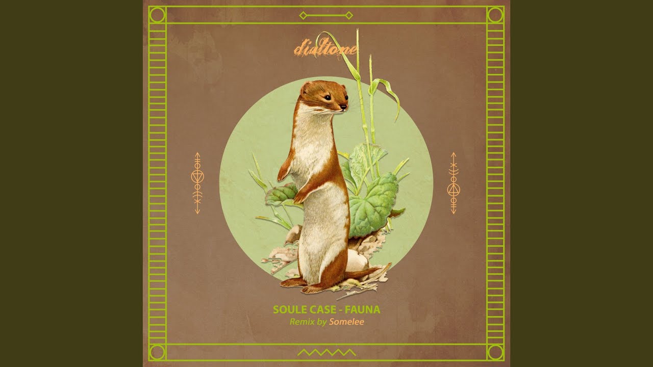 Reflection (Somelee Vox Remix)