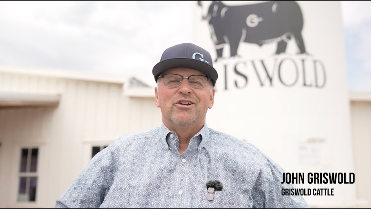 Arizona National: Barns - Griswold Cattle
