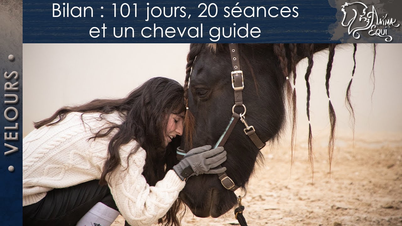 • VELOURS • Bilan : 101 jours, 20 séances et un cheval guide