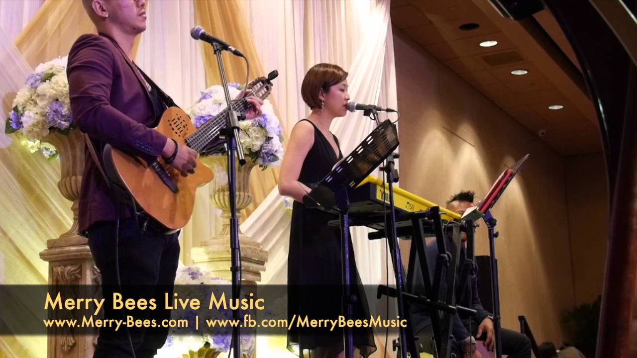 Merry Bees Live Music - Always On My Mind (Elvis Presley cover) Multi Duo