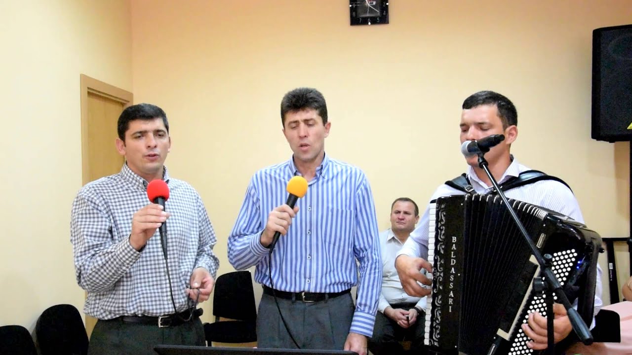 Sa stai pe turn ca sa veghezi, Fratii Ilie