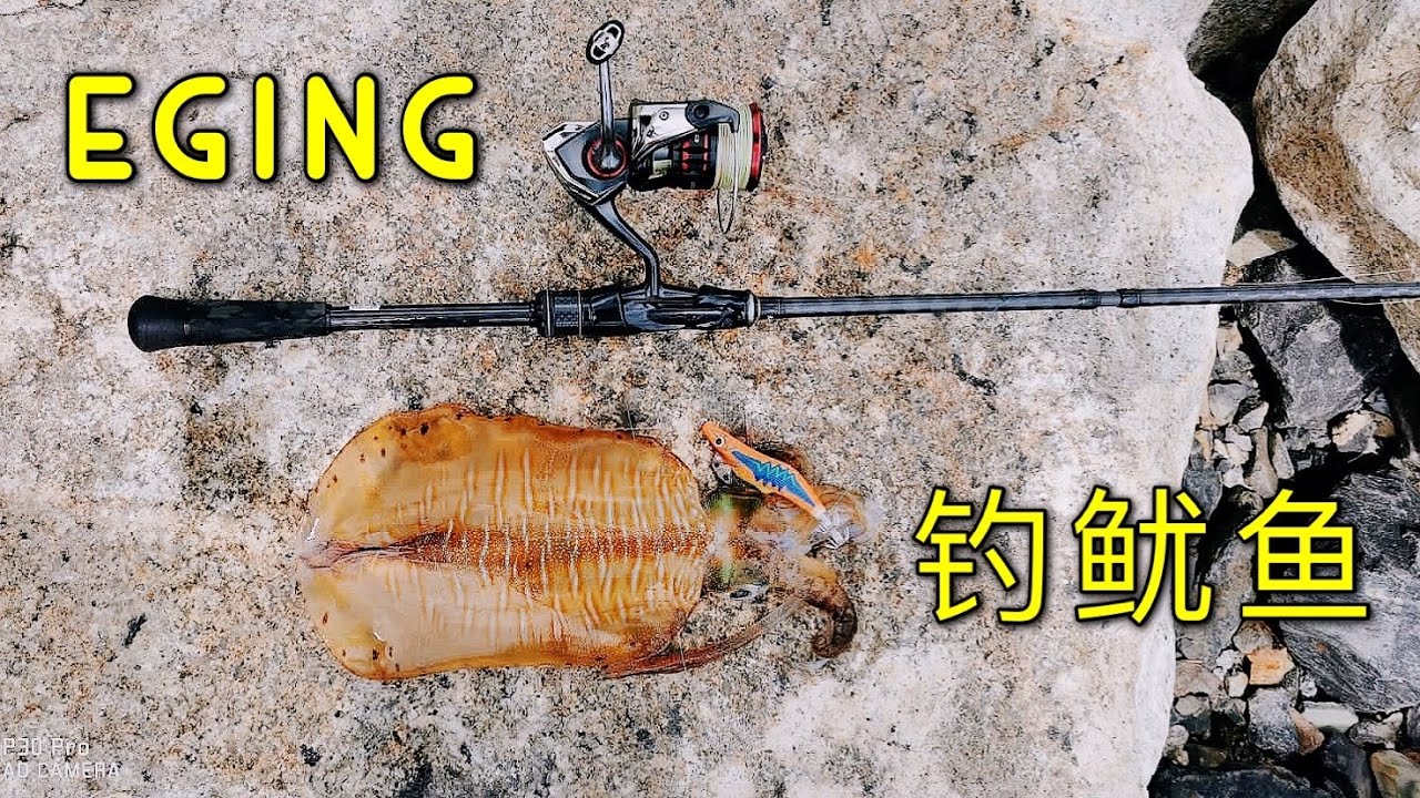 Singapore Fishing | Lazarus Island Landbased Eging | 新加坡钓鱿鱼