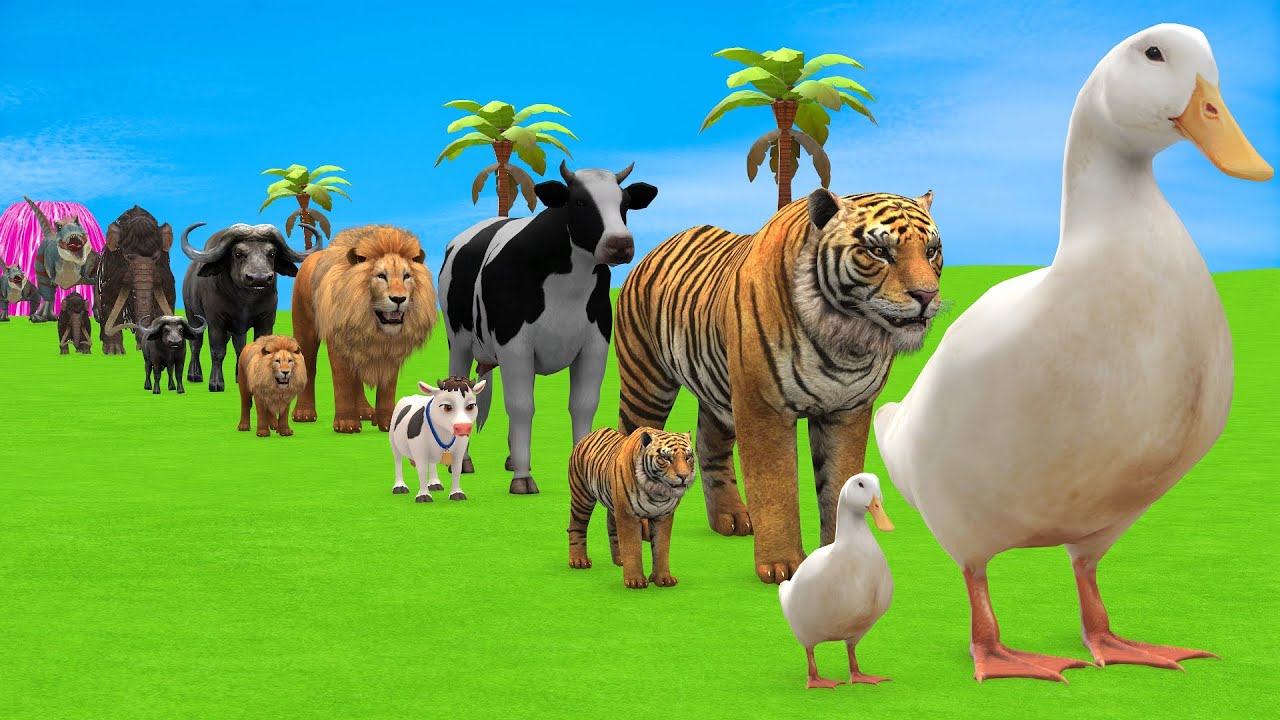 Long Slide Game with Cow Elephant Gorilla Hippopotamus Tiger 3d Animal Game Funny 3d Animals
