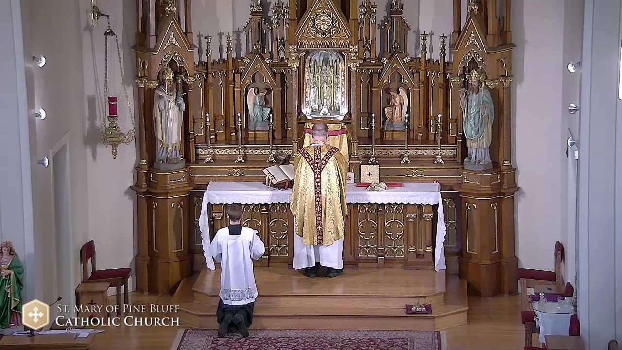 Daily Mass with Fr. Richard Heilman for June 13, 2023